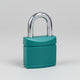 Manager Square Nylon-Steel Locks (Box of 10)