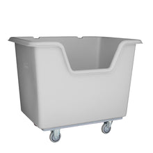 Load image into Gallery viewer, 