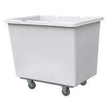 Load image into Gallery viewer, 