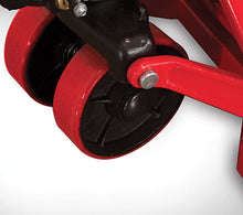 Load image into Gallery viewer, 