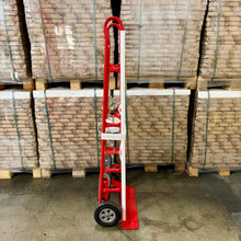 Load image into Gallery viewer, 